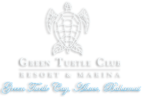 Green Turtle Logo